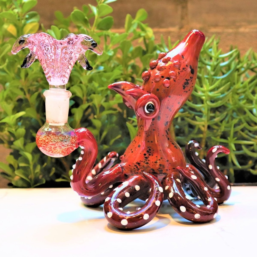 Glass  octopus